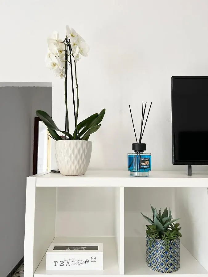 Wine Black Fronte Mare Iun R2882 カーラゴノネ アパート